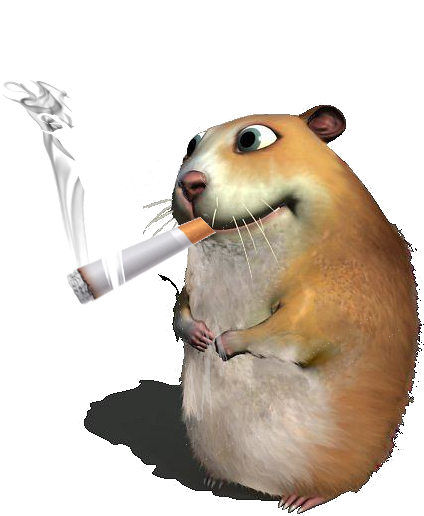 chomik