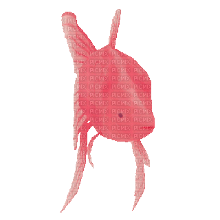Rybka